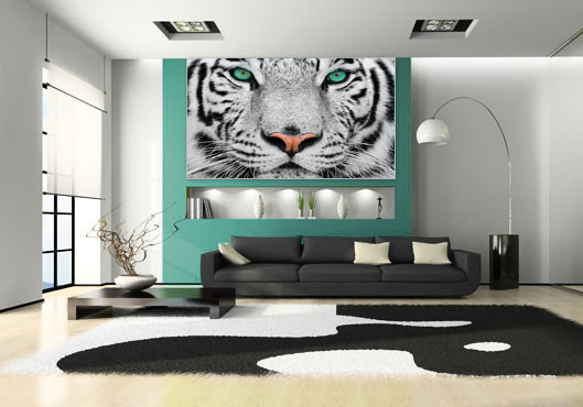 An Alle, die Tiger Janosch lieben.